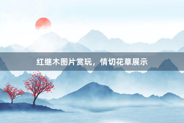 红继木图片赏玩，情切花草展示